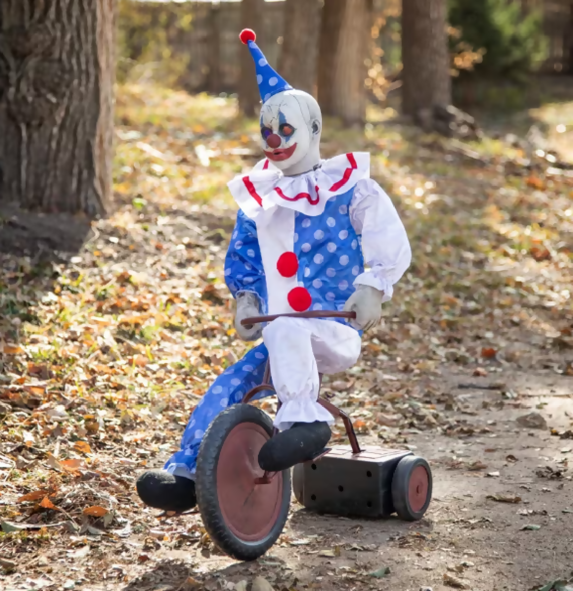 tricycle clown